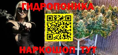 индика Краснодар
