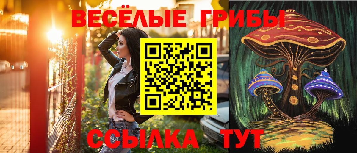 Галлюциногенные грибы прущие грибы  Вход с VPN  Кумертау 